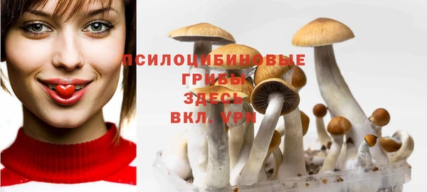 Альфа ПВП Алзамай