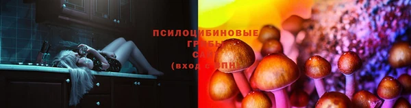 МДМА Алексеевка